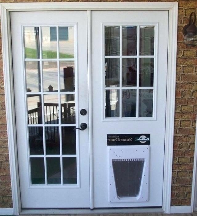 Exterior Prehung Door With Pet Door at Eric Moore blog